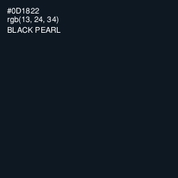 #0D1822 - Black Pearl Color Image